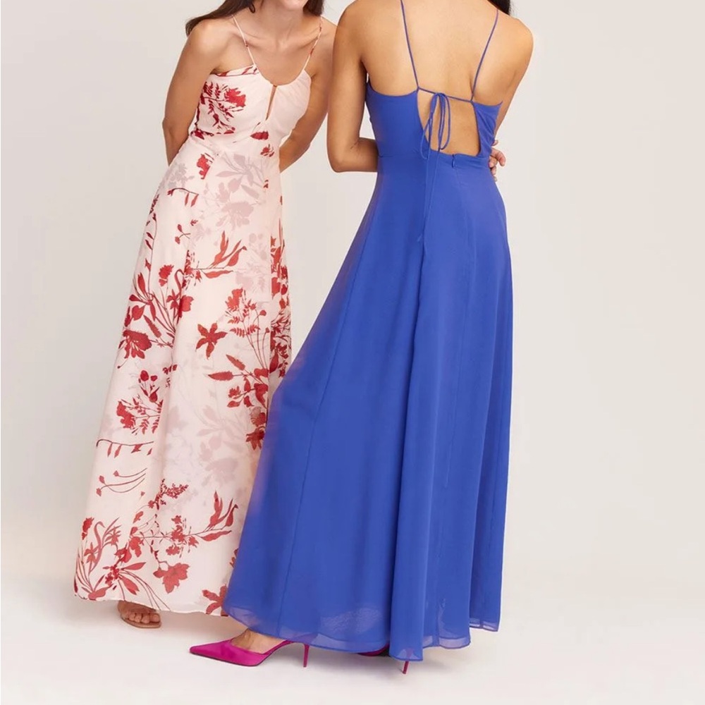 RW&CO. Clematis Blue Gown - Picture 5 of 8